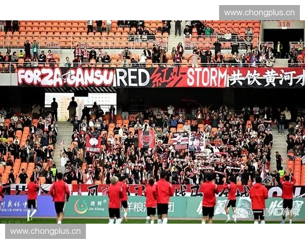 中国足球赛场聚焦：球迷热情与竞技对决的完美交融