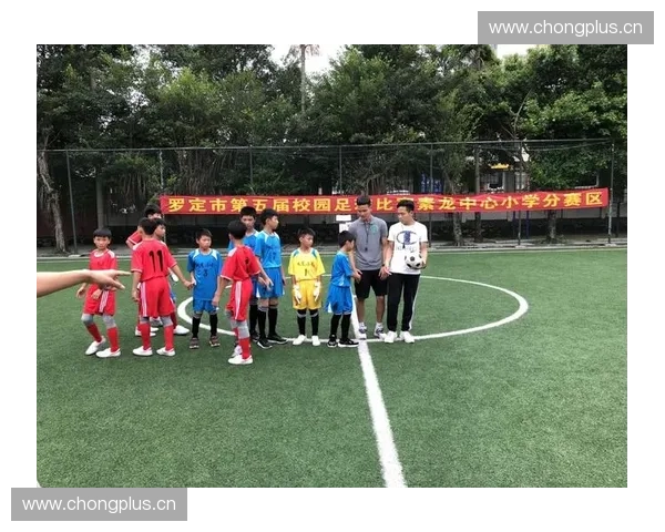 足球比赛推迟如何判定及其影响解析与实务操作指南实践应用全解读